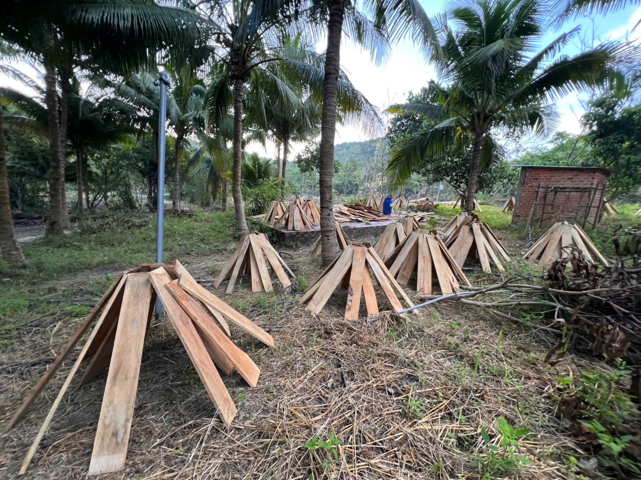 Khám bệnh nhà yến chuyên nghiệp 3FAM