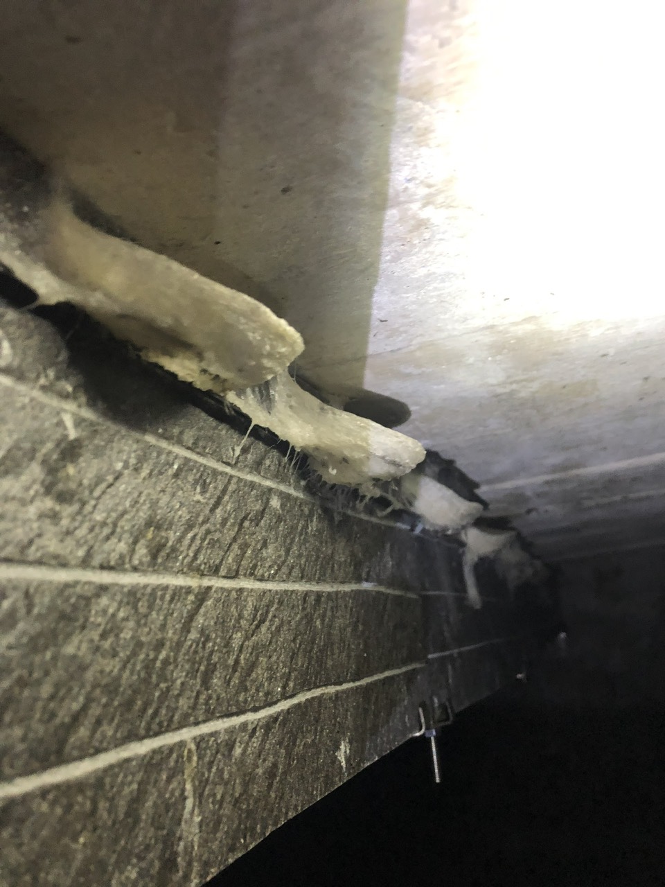 Nhà yến chuyên nghiệp 3FAM